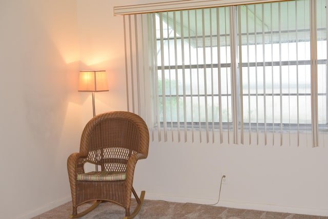 sitting room featuring carpet flooring and a wealth of natural light