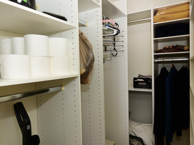 view of spacious closet