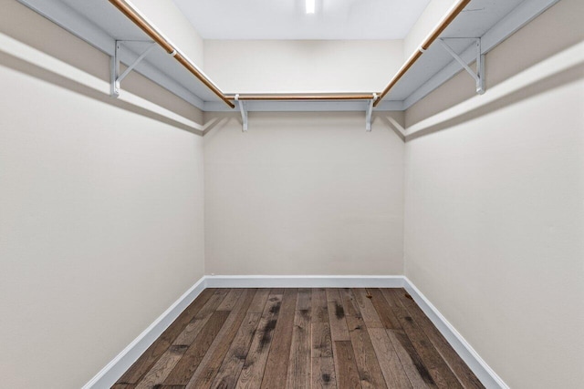 spacious closet featuring hardwood / wood-style flooring