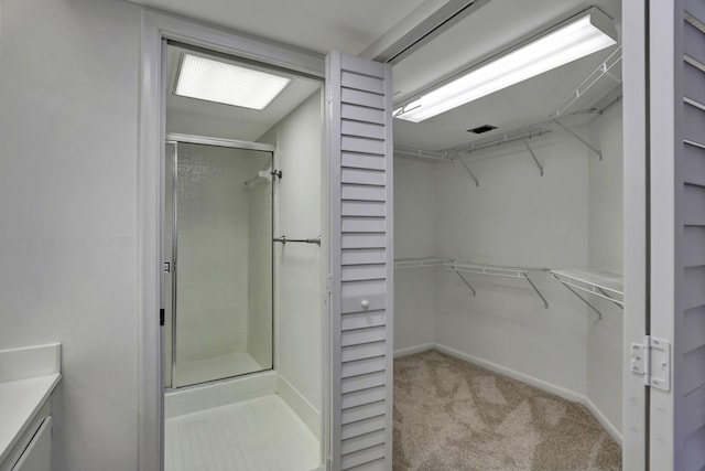 bathroom featuring a shower with door and vanity