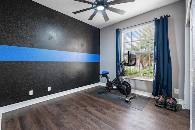 exercise room with hardwood / wood-style flooring and ceiling fan