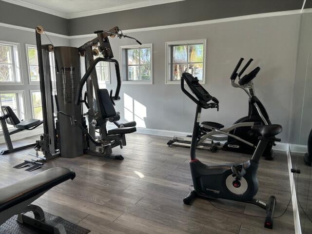 workout room featuring hardwood / wood-style flooring and crown molding