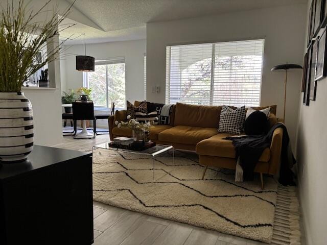 living room with light wood-type flooring and a textured ceiling