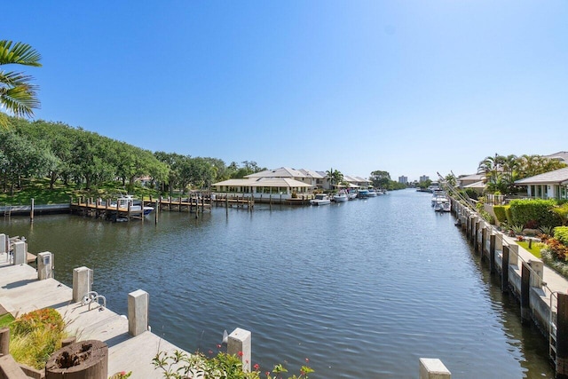 water view featuring a boat dock