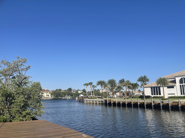 dock area with a water view