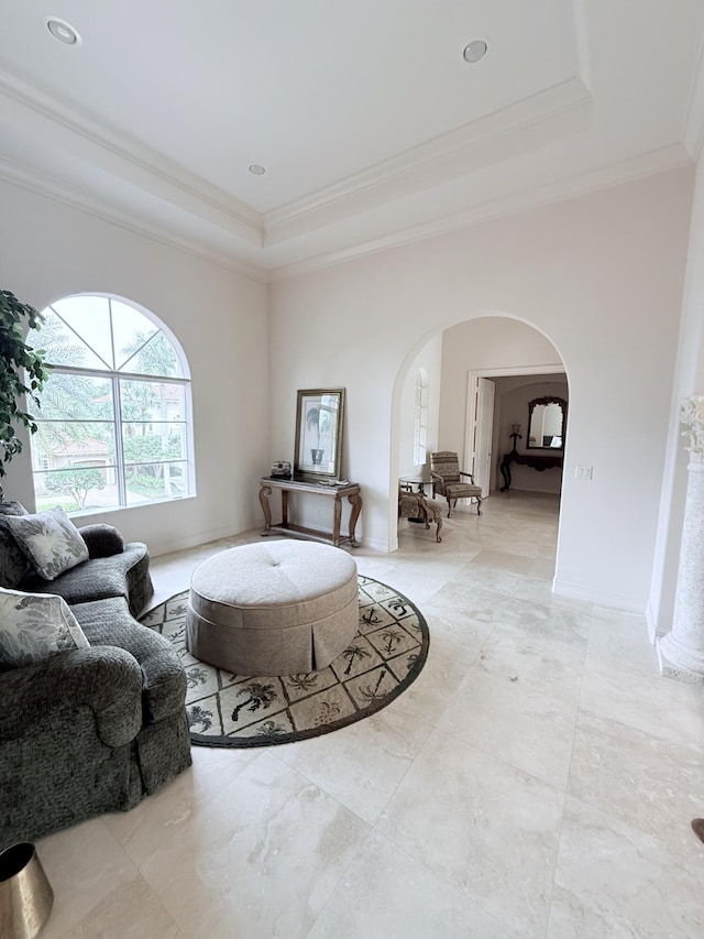 living room with ornamental molding and a raised ceiling