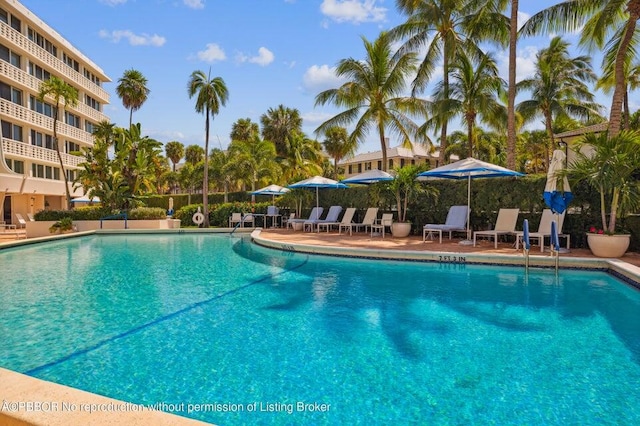 view of swimming pool