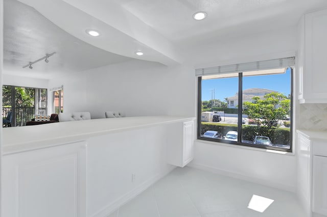 interior space featuring plenty of natural light and track lighting