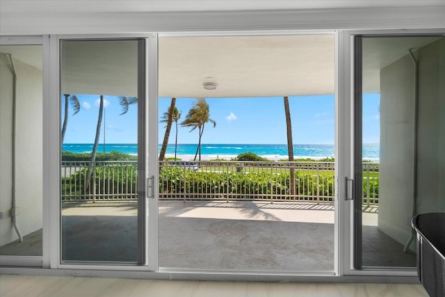 doorway featuring light hardwood / wood-style flooring, a healthy amount of sunlight, and a water view