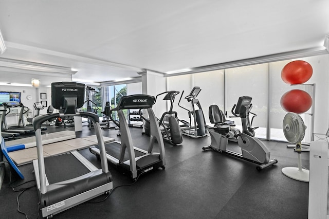 workout area featuring expansive windows