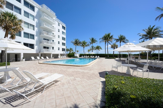 view of swimming pool