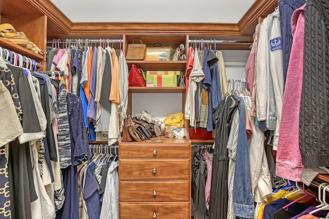 view of walk in closet