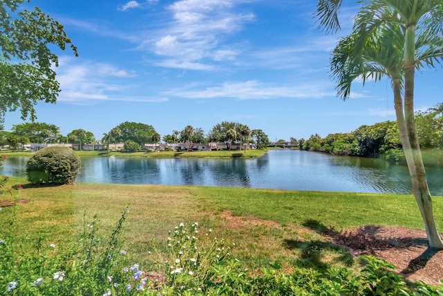 water view