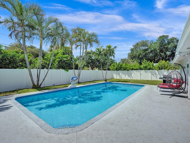 view of swimming pool with a patio area