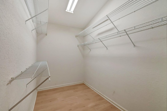 spacious closet featuring hardwood / wood-style flooring