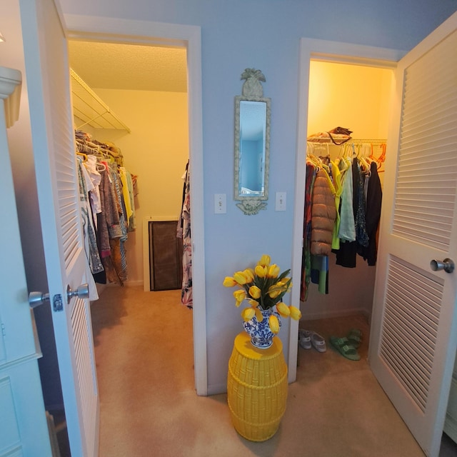 spacious closet with carpet