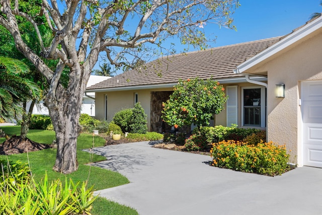 exterior space featuring a front lawn