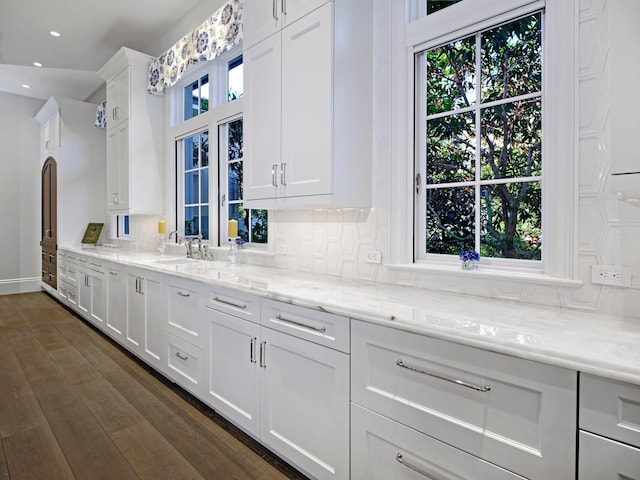 kitchen with backsplash, a healthy amount of sunlight, and dark hardwood / wood-style flooring