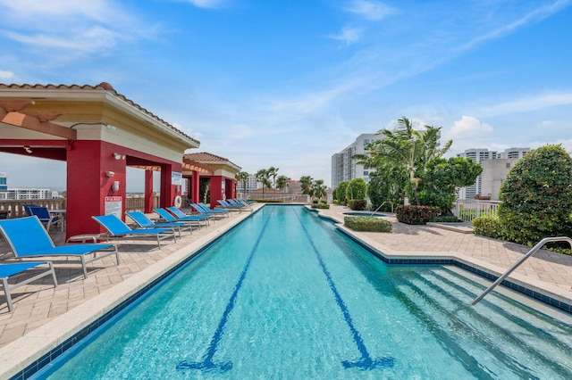 view of swimming pool with a patio