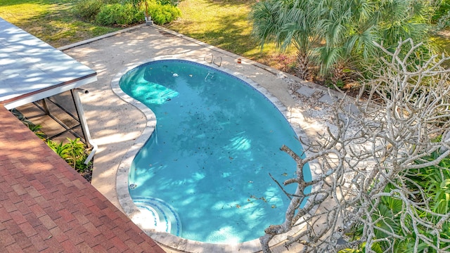 view of swimming pool featuring a patio area