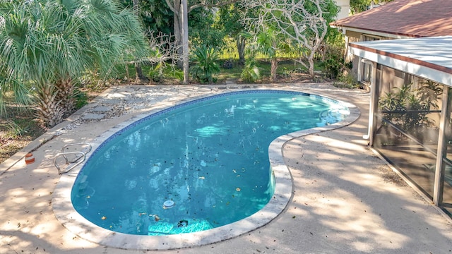 view of swimming pool featuring a patio area