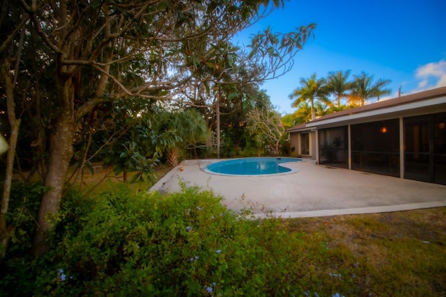 view of pool featuring a sunroom and a patio