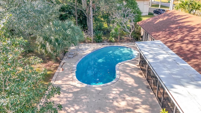 view of pool featuring a patio area