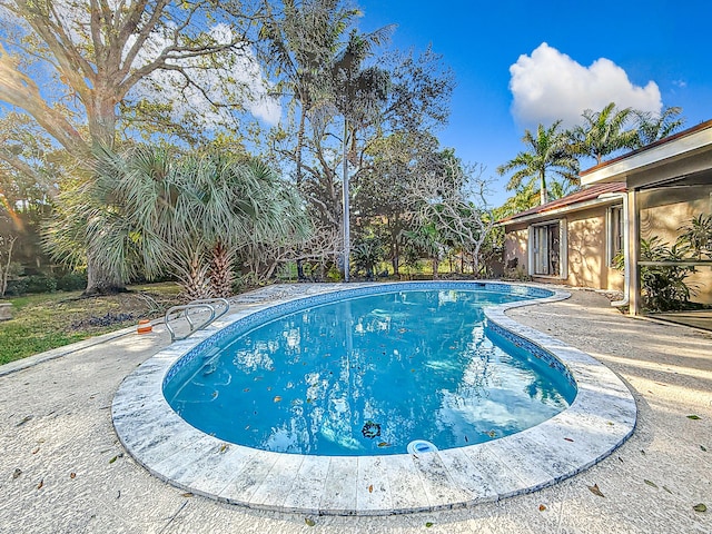 view of pool with a patio