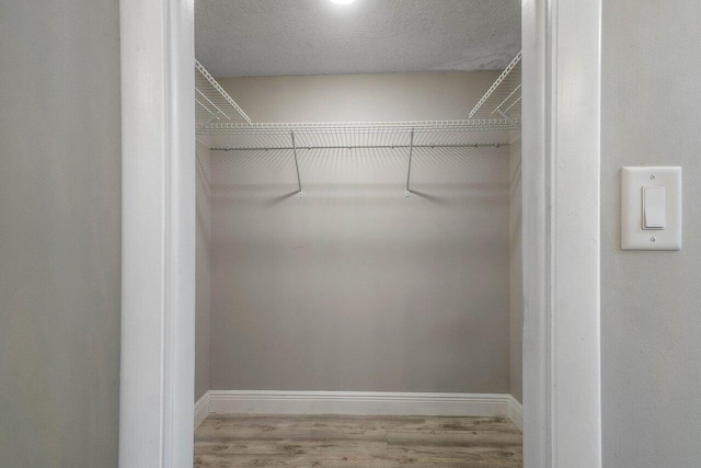 walk in closet featuring light hardwood / wood-style floors