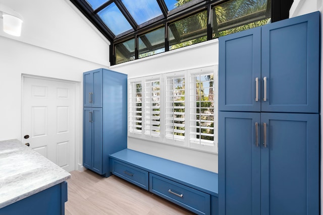 mudroom featuring a wealth of natural light and lofted ceiling