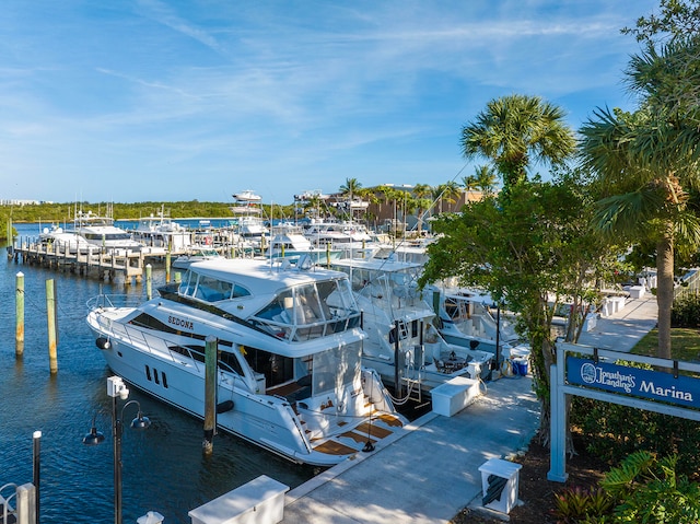 dock area with a water view