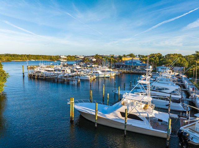 dock area featuring a water view