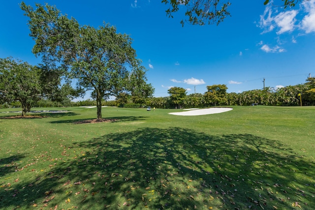 view of property's community with a lawn