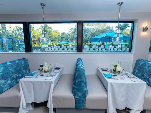 dining area featuring a wealth of natural light