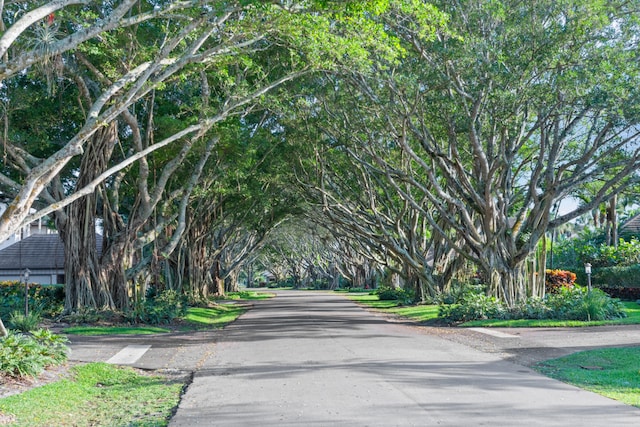 view of road