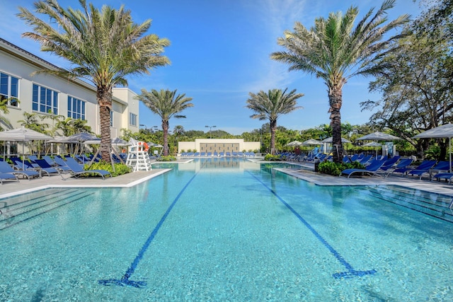 view of swimming pool with a patio