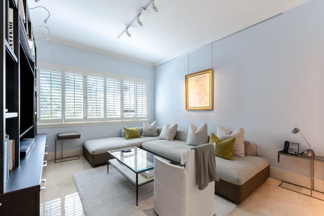 living room featuring crown molding and rail lighting