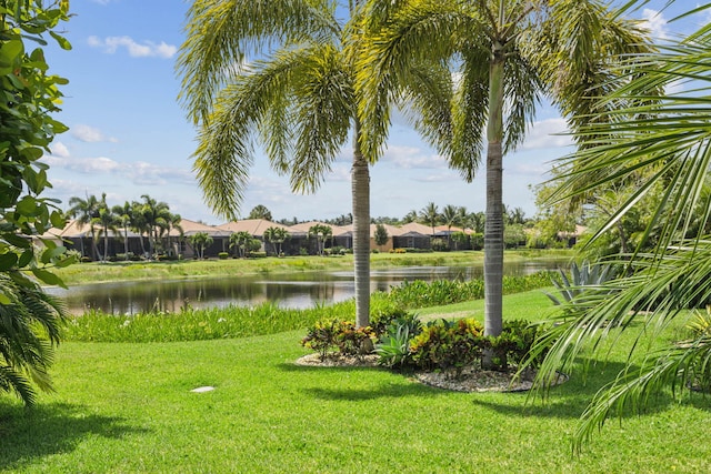 view of yard with a water view