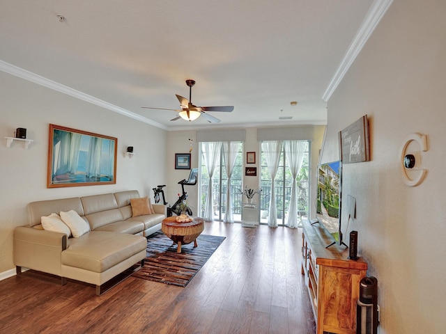 living room featuring dark hardwood / wood-style flooring, ceiling fan, and crown molding