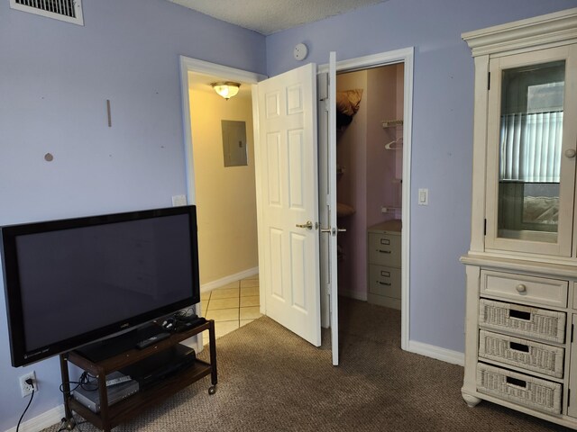 carpeted bedroom featuring a spacious closet and electric panel