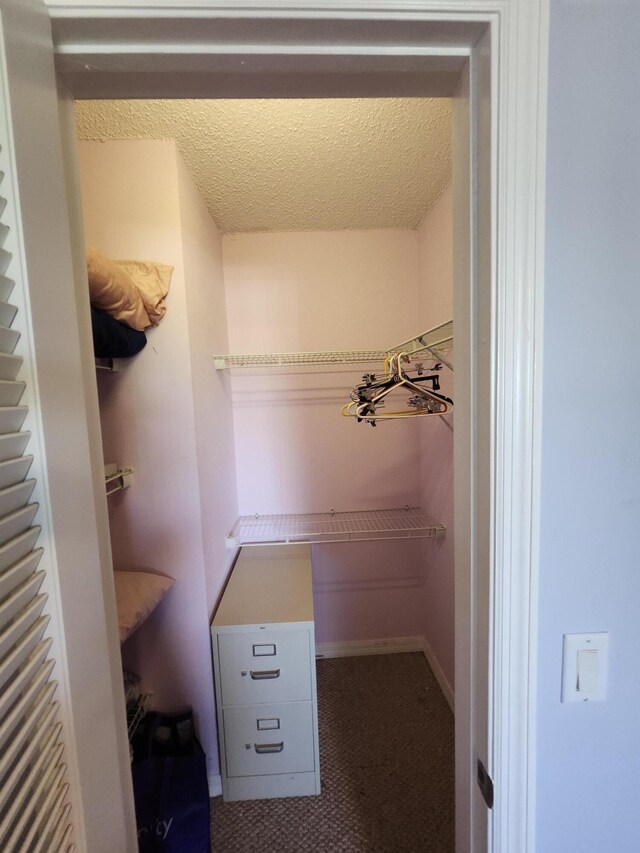 spacious closet with dark carpet