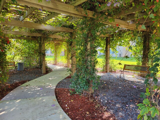 view of yard featuring a pergola