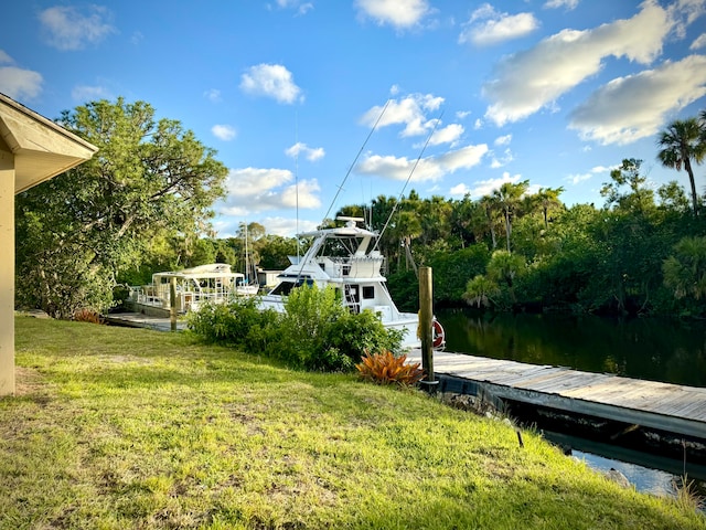 view of yard with a water view and a boat dock