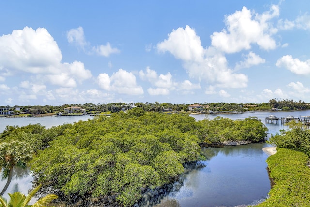 property view of water with a dock