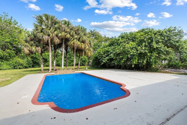 view of swimming pool featuring a patio