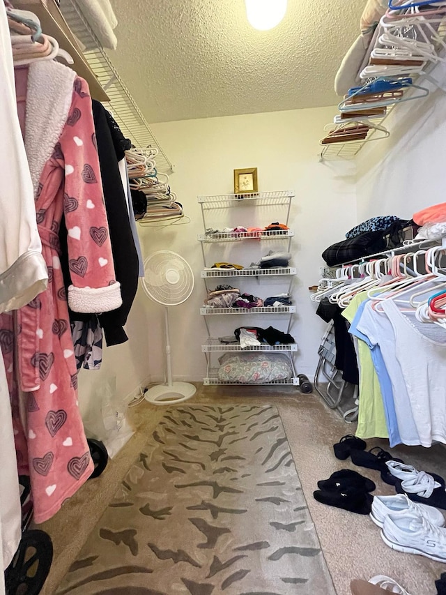 spacious closet with light carpet