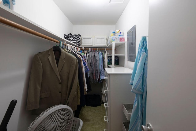 walk in closet featuring carpet flooring