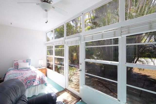 sunroom / solarium featuring plenty of natural light and ceiling fan