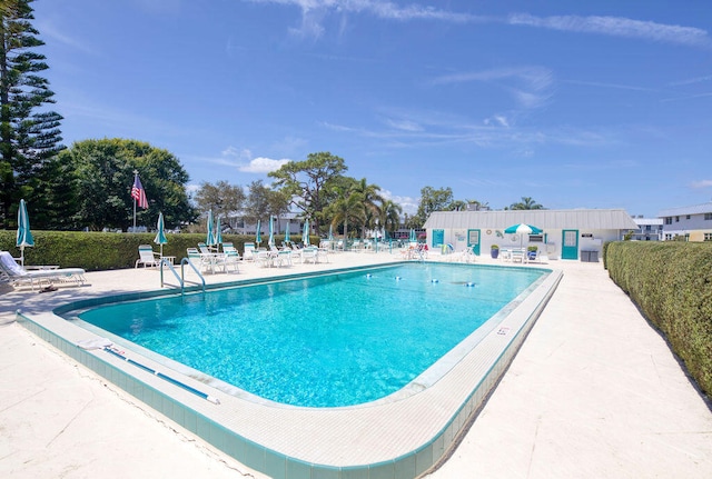 view of swimming pool with a patio