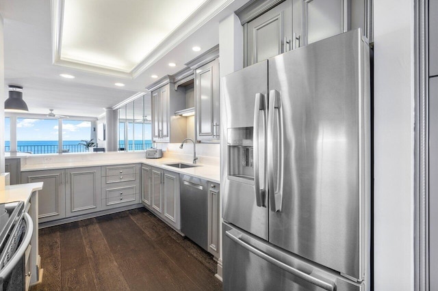 kitchen with gray cabinetry, stainless steel appliances, sink, dark hardwood / wood-style flooring, and a raised ceiling